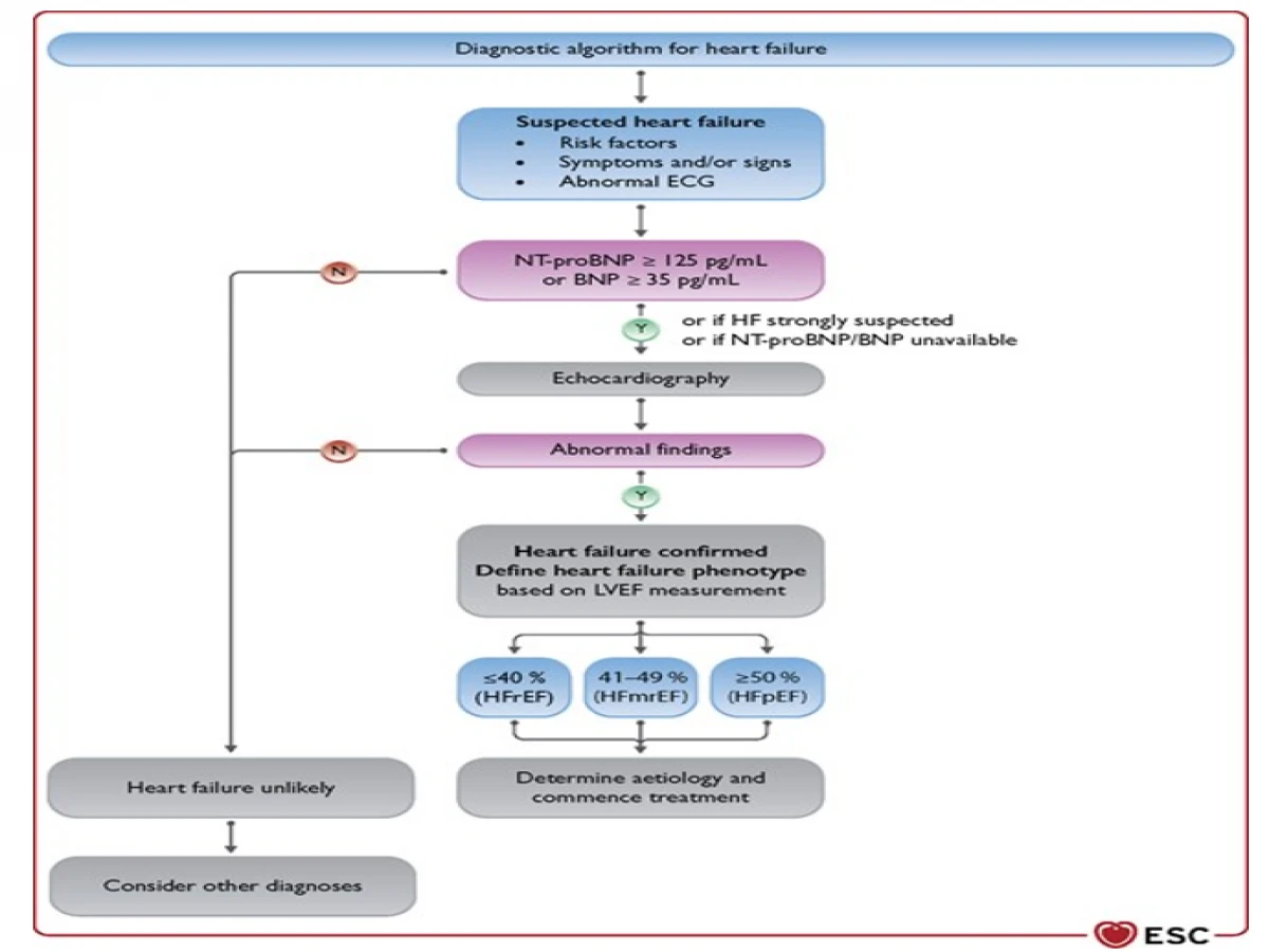 ESC 2021 Guideline how to manage heart failure